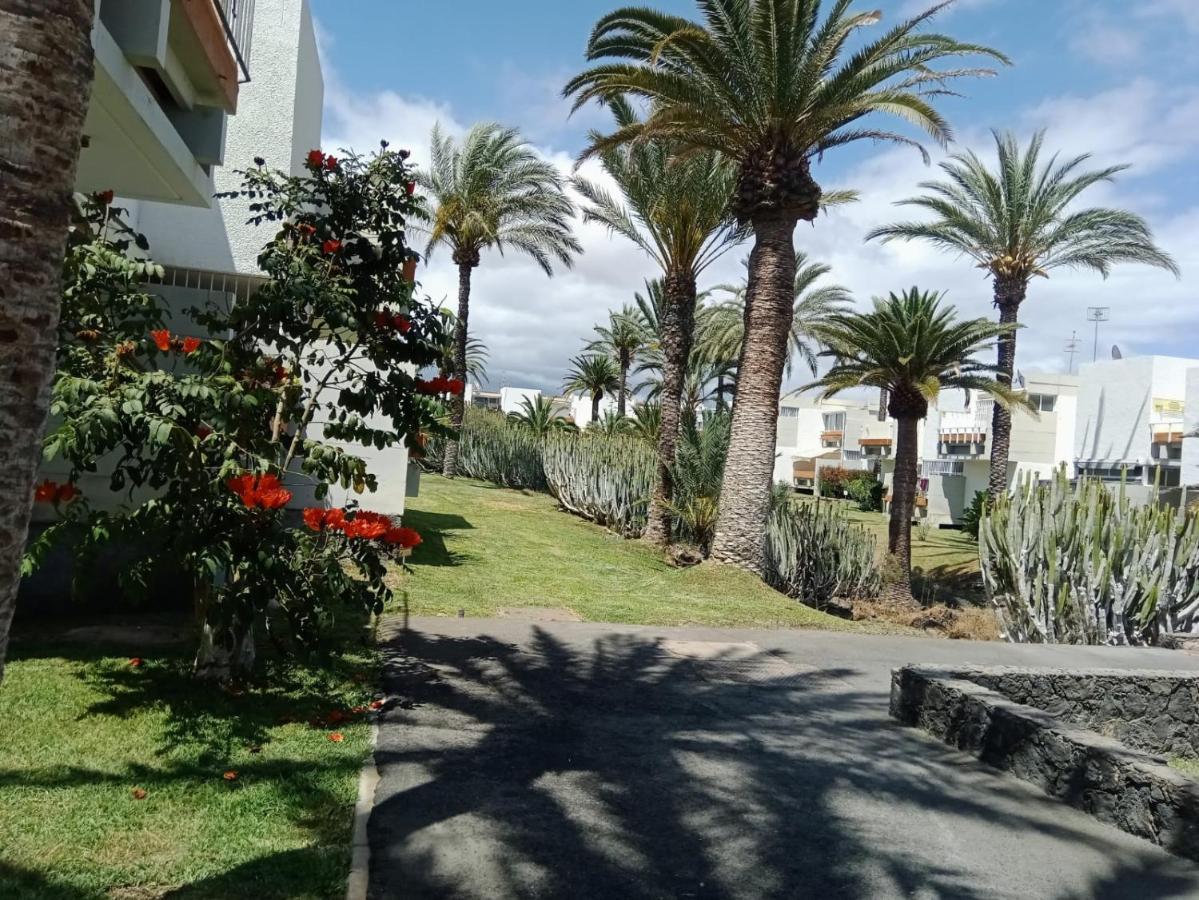 Bonito Apartamento De 1 Habitacion Arona  Eksteriør billede